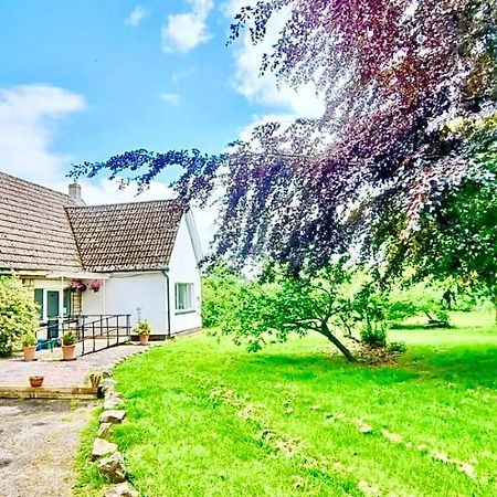 אברגאבני Three Bedroom Rural, Relaxing And Peaceful,Dogs Welcome! With Cymru Holidays מראה חיצוני תמונה