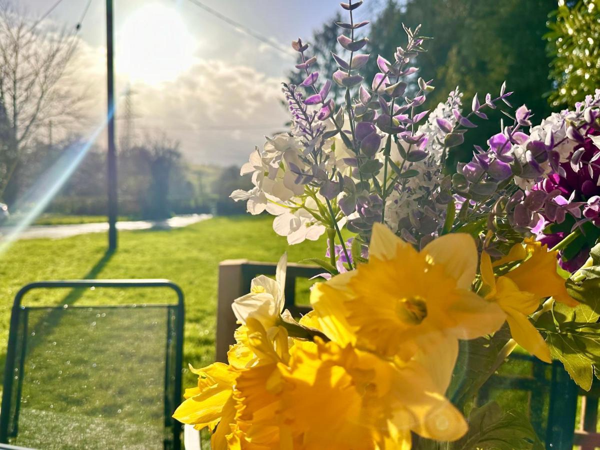 אברגאבני Three Bedroom Rural, Relaxing And Peaceful,Dogs Welcome! With Cymru Holidays מראה חיצוני תמונה